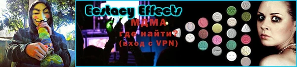 стаф Верея