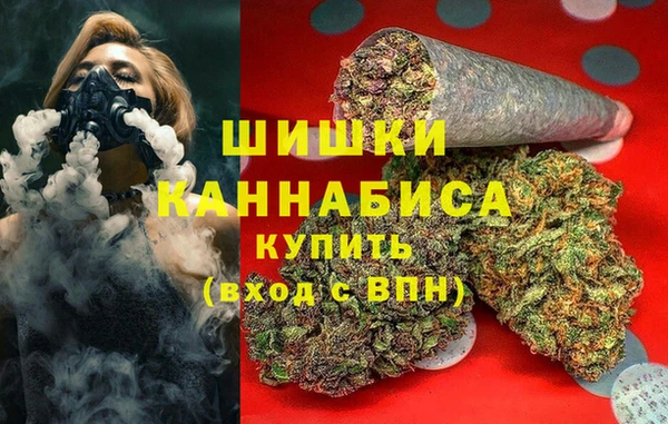 стаф Верея
