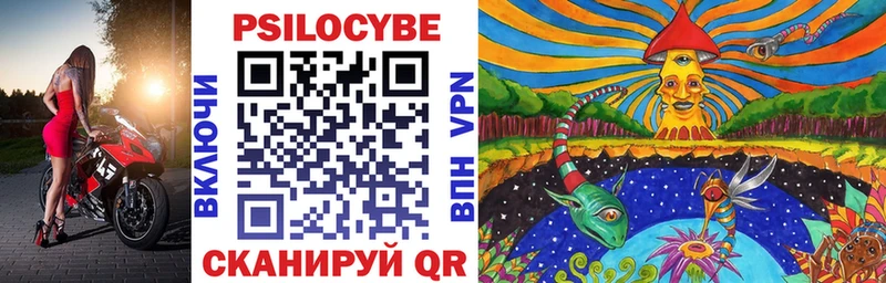 Псилоцибиновые грибы Psilocybe  где купить   Обь 